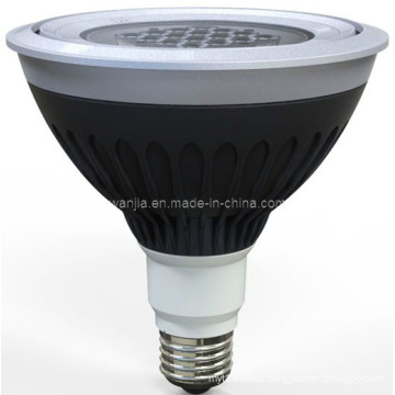 A1 20W LED Outdoor Lighting PAR38 LED Spotlight